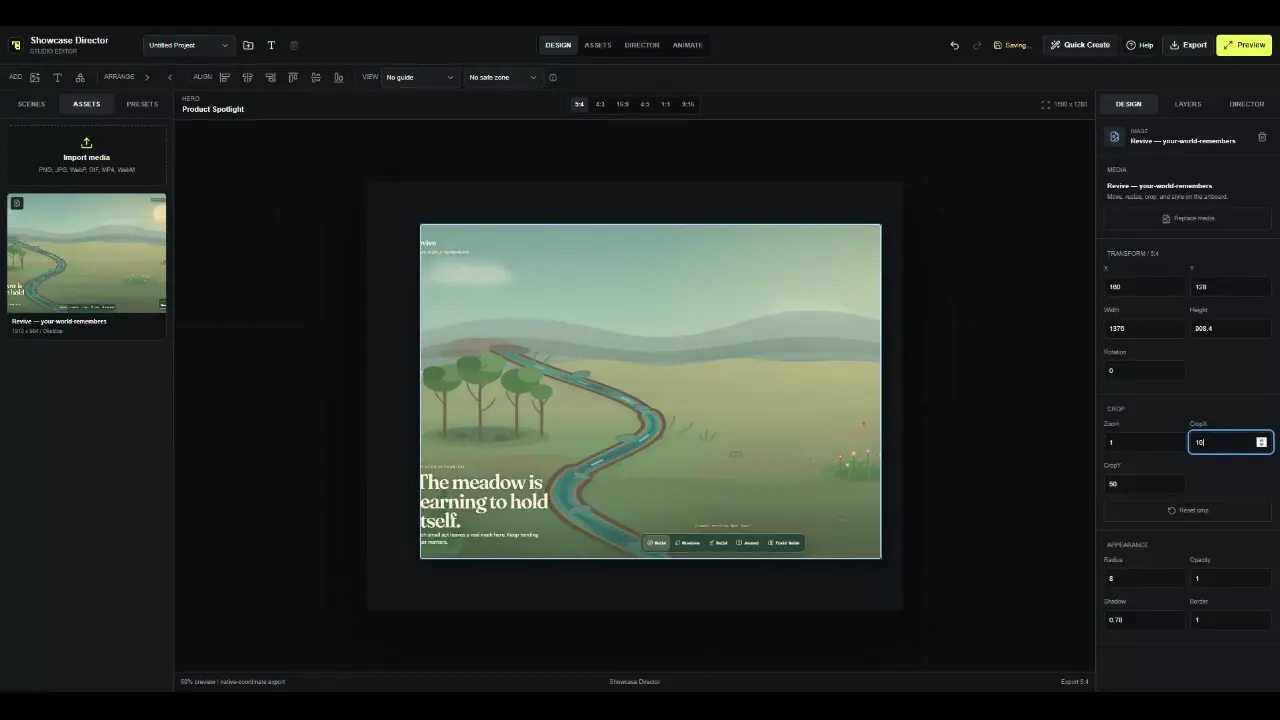 Showcase Director Animate workspace with layered keyframe timeline
