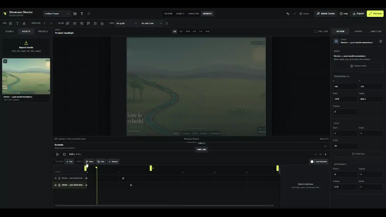 Showcase Director motion export dialog with format, duration, frame rate, size, palette and dithering controls